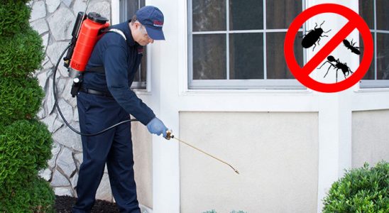 Çemişgezek Hamam Böceği İlaçlama böcek ilaçlama ve haşere kontrolü — ilaclama-tr.com